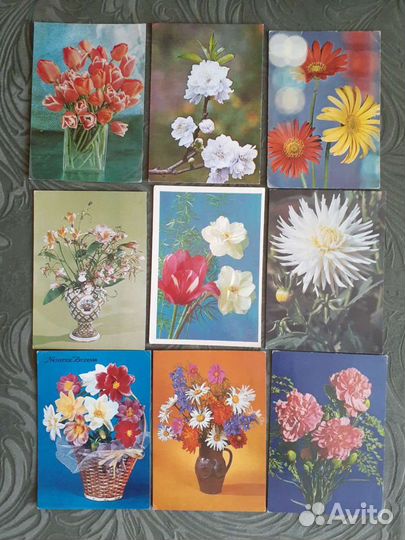 Открытки 
