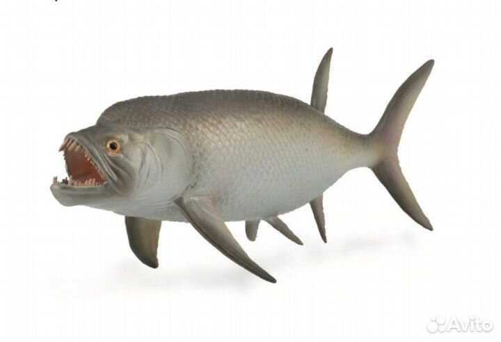 Ксифактин 1:40, 88928b