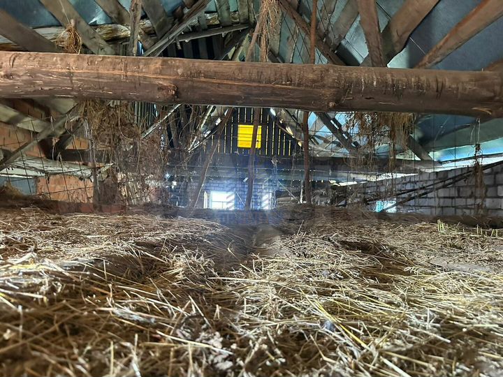 Дом 44 м² на участке 46 сот.