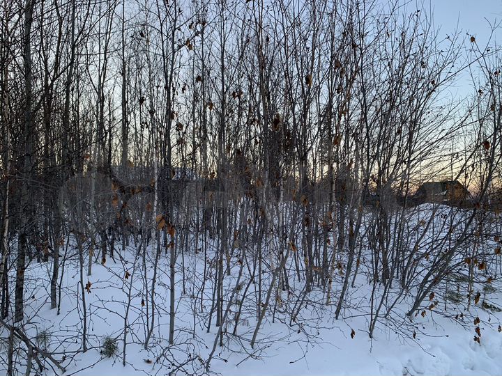 Участок 10 сот. (СНТ, ДНП)