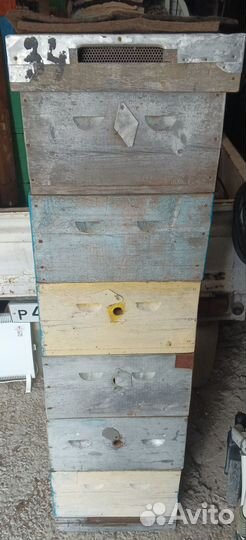 Ульи для пчел бу