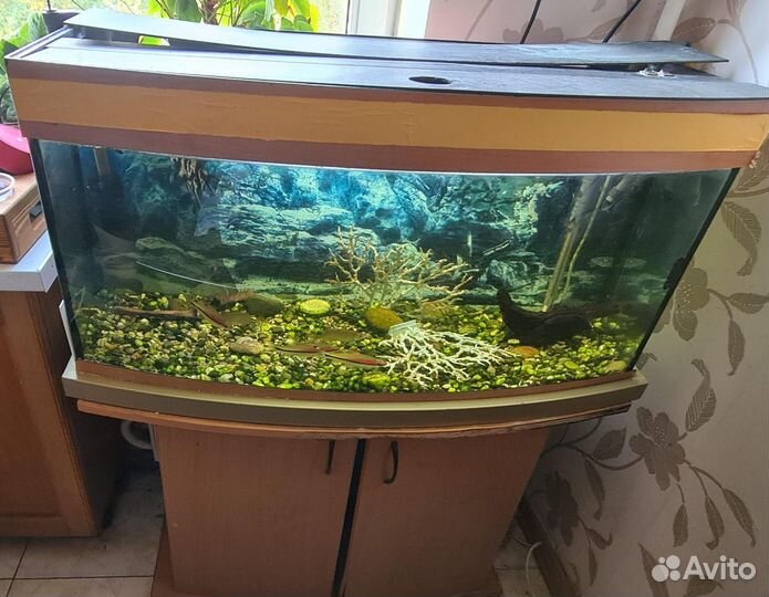 Аквариум с тумбой