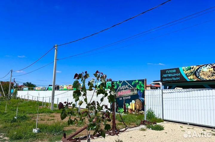 Сдам в аренду