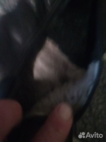 Ботфорты Familiare нат кожа 37