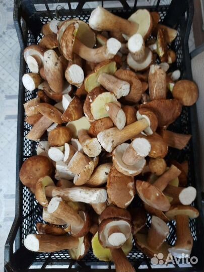 Белые маринованные