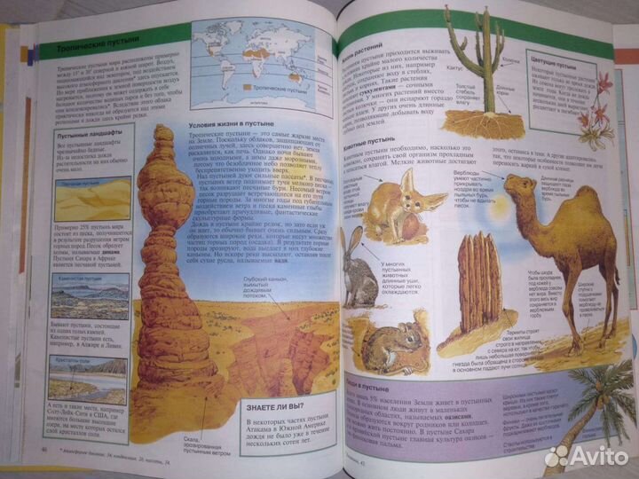 Детская энциклопедия