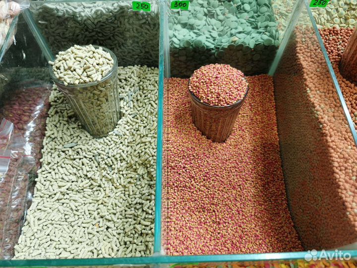 Корм для рыб