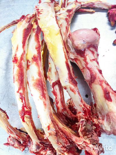 Кости для собак