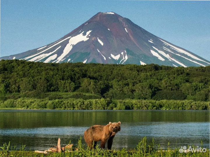 Тур поездка на Камчатку летний период 7 до 9 дней