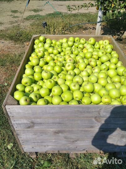 Треб-тся люди в бр.на перебяблокоНовой и Каневской