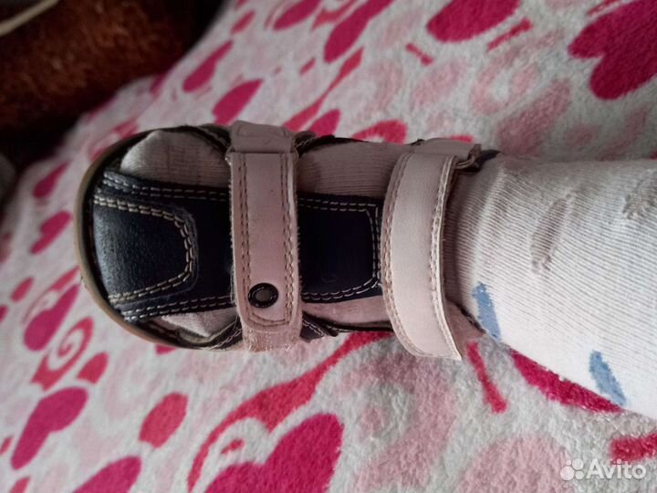 Стул для кормл Rant, бортики в кров., сандали