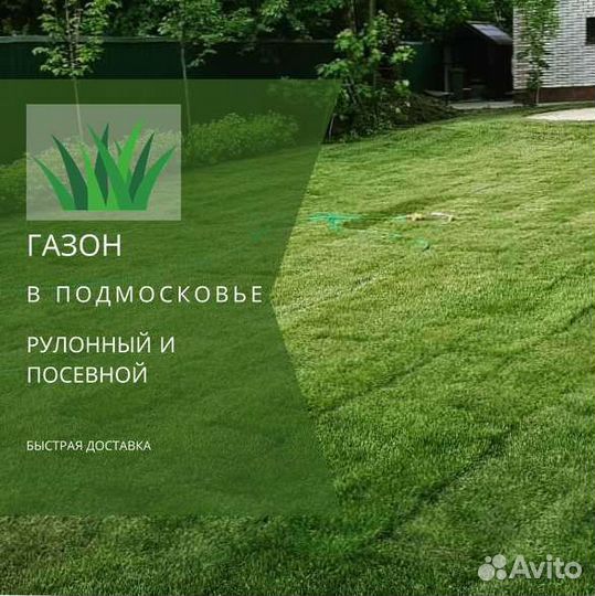 Газон. Рулонный газон