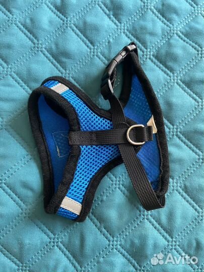 Шлейка для маленькой собаки