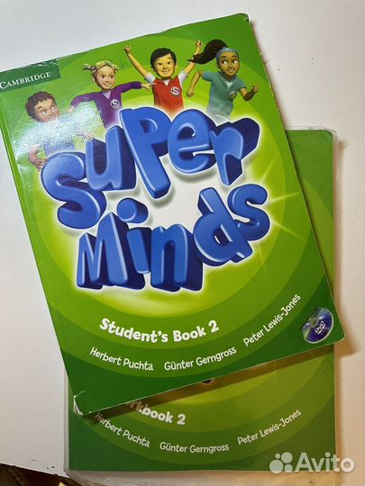 Super minds 2