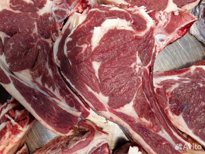 Свежее мясо домашней говядины (бычков) с доставкой