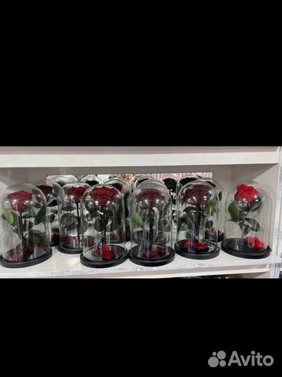 Роза в колбе