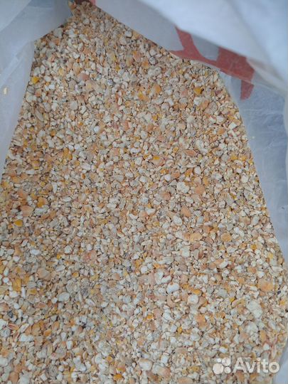 Кукуруза дробленая