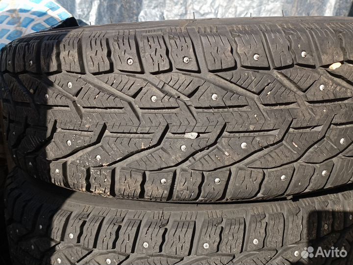Kormoran Stud 2 4/6 R6 20B