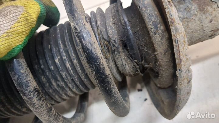 Амортизатор подвески Volkswagen Passat CC, 2009