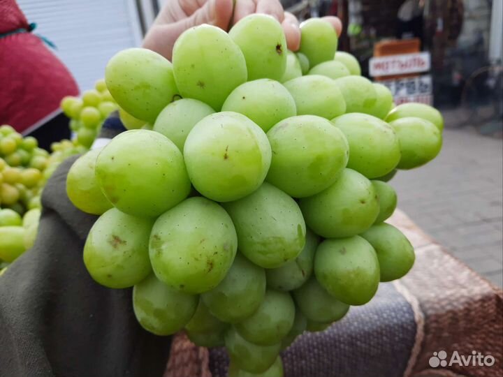 Саженцы Персика, Винограда, Яблонь, Груш