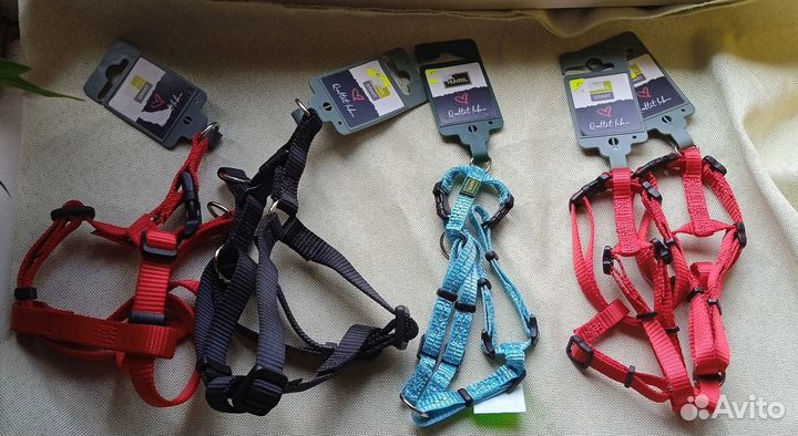 Ошейники/шлейки/намордники