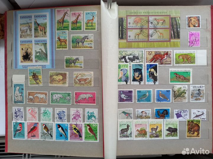 Большой альбом.старин.фауна.флора марки