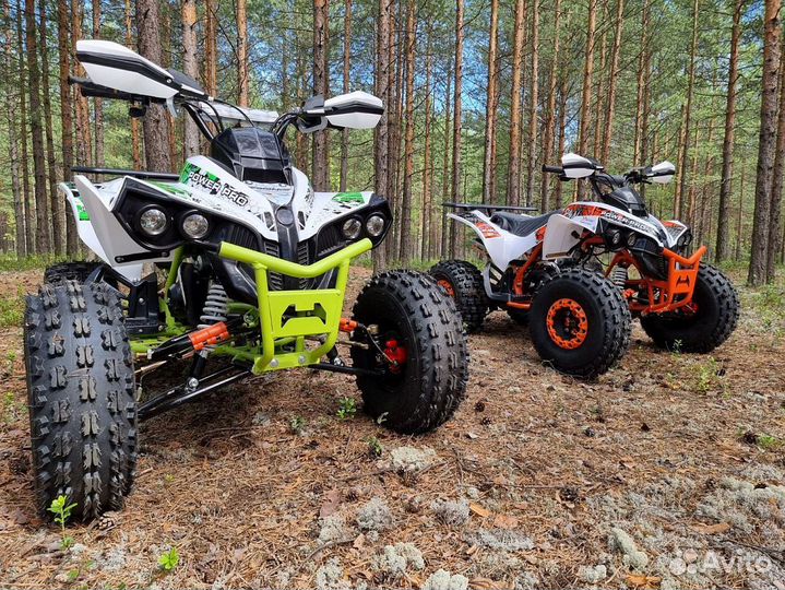 Квадроциклы promax в наличии
