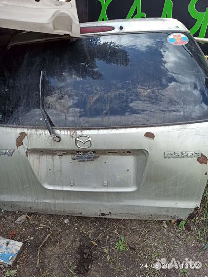 Дверь задняя