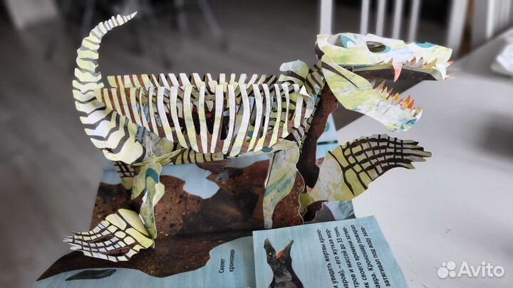 Панорамные книги энциклопедии Акулы и Хищники