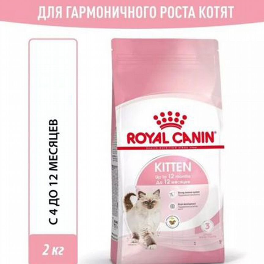 Корм для котят