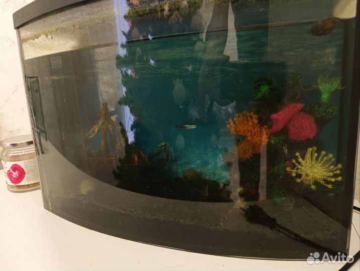 Аквариум