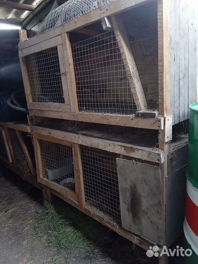 Продам клетки для кроликов