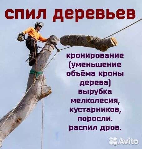 Спил деревьев