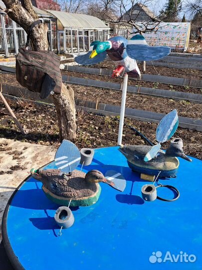 Чучела махокрылы уток