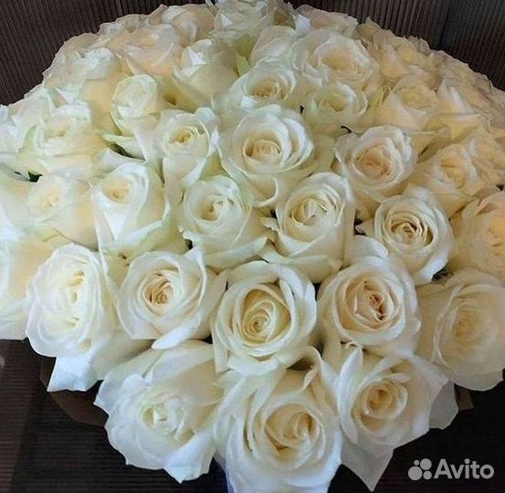 Высокие Высокие розы Гигантские розы Букеты Достав