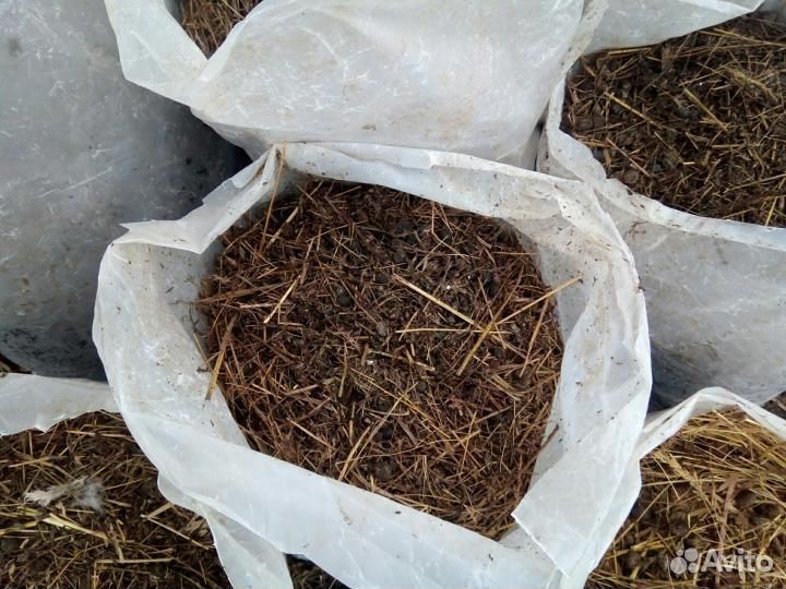 Навоз козий