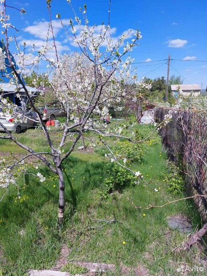 Дача 55 м² на участке 4 сот.