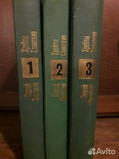 С.Cаpтaков Хpебты Саянскиe