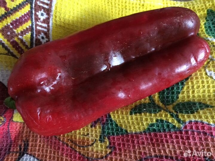 Рассада перцев сладкие вкусные ранние