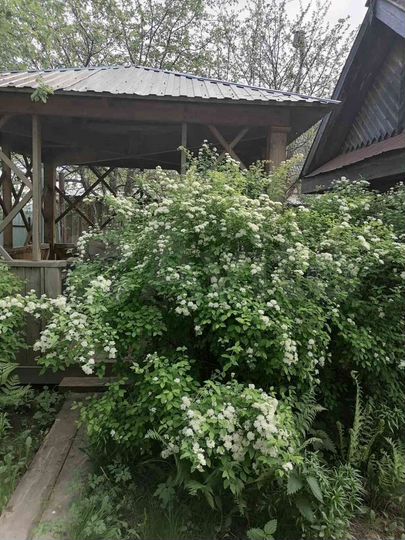 Дом 99,1 м² на участке 21 сот.