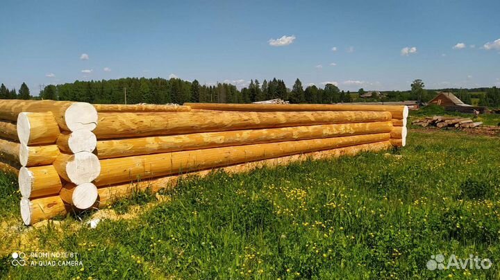 Рубим срубы из зимнего леса