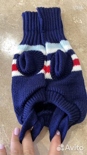 Одежда для собак кошек