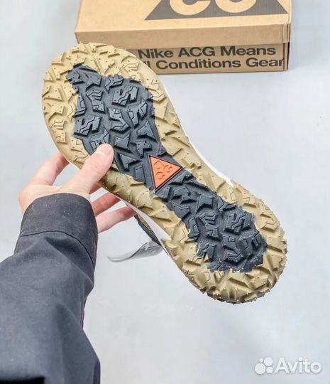 Кроссовки Nike ACG Mountain Fly 2 Low Gore-Tex