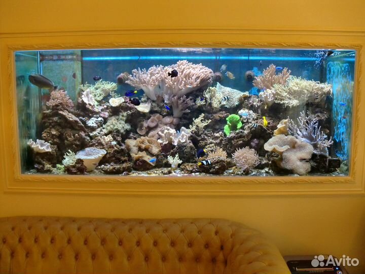 Обслуживание аквариумов