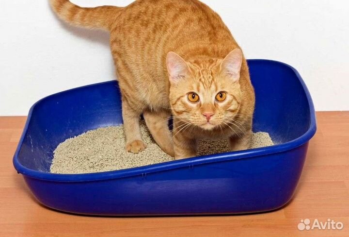 Средство от мышей и крыс. без ядов. Гарантированно