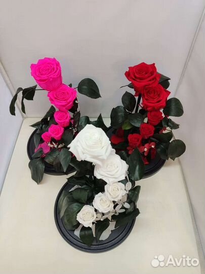 Подарок. Цветы оптом