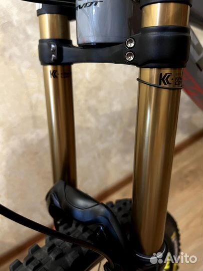 Pivot Phoenix 29 (2022)