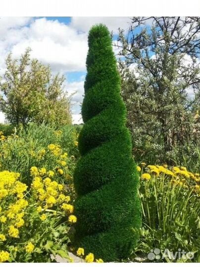 Топиарные фигуры