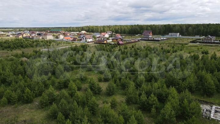 Участок 15,1 сот. (СНТ, ДНП)