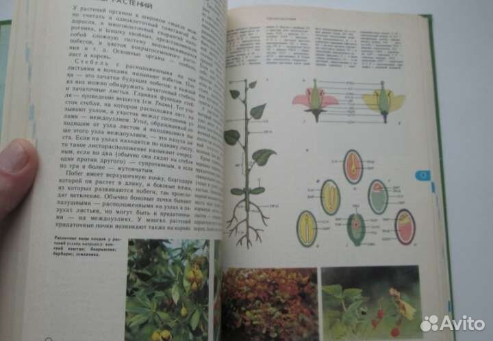 Энциклопедический словарь юного биолога 1986г,ссср